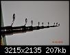     . 

:	DSC_3529.jpg 
:	497 
:	207.1  
ID:	100998