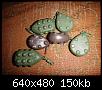     . 

:	DSC01118.JPG 
:	269 
:	150.1  
ID:	104492