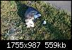     . 

:	DSC_2457.jpg 
:	780 
:	558.7  
ID:	104756