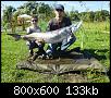     . 

:	2015  3 21,5 .jpg 
:	588 
:	133.3  
ID:	104827