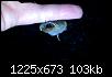     . 

:	сент1.jpg 
:	1289 
:	103.0  
ID:	105753