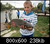     . 

:	IMG_0174_новый размер.JPG 
:	772 
:	238.0  
ID:	105888