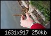     . 

:	20151015_080028.jpg 
:	727 
:	249.9  
ID:	106243