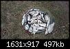     . 

:	.jpg 
:	709 
:	496.6  
ID:	110853
