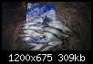     . 

:	IMG_20151001_202247.JPG 
:	1849 
:	308.7  
ID:	111421