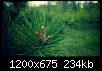     . 

:	IMG_20160503_170844.jpg 
:	1781 
:	233.9  
ID:	111424