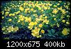     . 

:	IMG_20160503_172550.jpg 
:	1862 
:	399.9  
ID:	111425