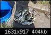    . 

:	20160525_163932.jpg 
:	619 
:	403.8  
ID:	112623