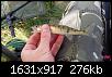    . 

:	20160525_110458.jpg 
:	599 
:	275.8  
ID:	112624