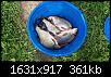     . 

:	20160819_151127.jpg 
:	429 
:	360.9  
ID:	117269