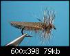     . 

:	magic_wing_caddis_brown.jpg 
:	488 
:	79.4  
ID:	11885