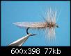     . 

:	magic_wing_caddis_gray.jpg 
:	517 
:	76.9  
ID:	11886