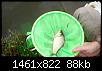     . 

:	Screenshot_20161002-201718.jpg 
:	431 
:	87.9  
ID:	119278
