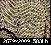     . 

:	DSCN9667.jpg 
:	130 
:	583.0  
ID:	120509