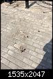     . 

:	IMG_2468.jpg 
:	515 
:	501.5  
ID:	131829