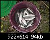     . 

:	CRW_4655_resize.jpg 
:	710 
:	93.5  
ID:	13683