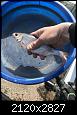     . 

:	IMG_1396.jpg 
:	1169 
:	563.3  
ID:	140209