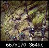     . 

:	IMG_20180602_091112.jpg 
:	1233 
:	364.4  
ID:	142618