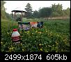     . 

:	IMG_6463.jpg 
:	1202 
:	605.0  
ID:	142770