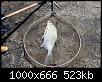     . 

:	IMG_5555.JPG 
:	997 
:	523.2  
ID:	144452