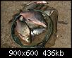     . 

:	IMG_7776.jpg 
:	1040 
:	436.3  
ID:	144557
