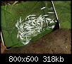     . 

:	2018-07-13 13-16-23.JPG 
:	761 
:	318.4  
ID:	144640