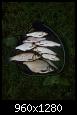     . 

:	AU9XyMvuxRM.jpg 
:	1033 
:	441.0  
ID:	144754