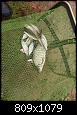     . 

:	5GiY-mJydcE.jpg 
:	1016 
:	205.4  
ID:	144781