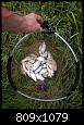     . 

:	st4ae0-qslI.jpg 
:	1017 
:	190.9  
ID:	144783