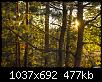    . 

:	2.jpg 
:	377 
:	477.1  
ID:	146963