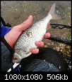     . 

:	108.jpg 
:	409 
:	506.2  
ID:	150997