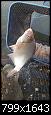     . 

:	20190420_060909.jpg 
:	307 
:	249.1  
ID:	153794