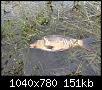     . 

:	IMG-20190422-WA0020.jpg 
:	289 
:	150.9  
ID:	153803