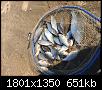     . 

:	1D1BF8FD-BD3E-4B02-B678-BA92536CF63C.jpg 
:	521 
:	650.6  
ID:	154353