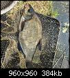     . 

:	7.jpg 
:	286 
:	384.4  
ID:	156003