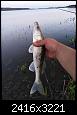     . 

:	IMG_20190611_212326.jpg 
:	305 
:	536.7  
ID:	156549