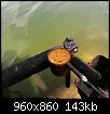     . 

:	4.jpg 
:	567 
:	142.8  
ID:	158269
