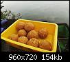     . 

:	6.jpg 
:	554 
:	153.5  
ID:	158271