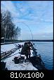     . 

:	jAEVo-hsfp0.jpg 
:	452 
:	345.9  
ID:	161705