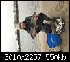     . 

:	IMG_2853.jpg 
:	476 
:	550.2  
ID:	161872
