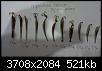     . 

:	 1 1600.jpg 
:	159 
:	521.3  
ID:	162504