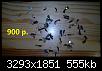     . 

:	4.jpg 
:	201 
:	554.9  
ID:	162511