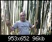     . 

:	IMG-20190813-WA0032 1.jpg 
:	337 
:	96.4  
ID:	163849