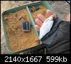     . 

:	IMG_5681.jpg 
:	619 
:	598.8  
ID:	163866