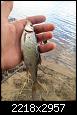     . 

:	IMG_5707.jpg 
:	615 
:	541.5  
ID:	163870