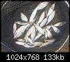     . 

:	31a5cbff-8ed8-4b16-b409-c739a25ce5d3.jpg 
:	593 
:	132.6  
ID:	163966
