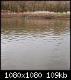     . 

:	IMG_20200428_105755_439.jpg 
:	572 
:	108.8  
ID:	164058