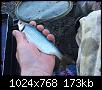     . 

:	46cd0857-9529-45ff-b058-9cb81cb378cd.jpg 
:	588 
:	172.6  
ID:	164148
