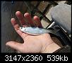     . 

:	20200501_134133.jpg 
:	591 
:	538.5  
ID:	164154