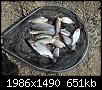     . 

:	IMG_5861.jpg 
:	568 
:	651.5  
ID:	164196